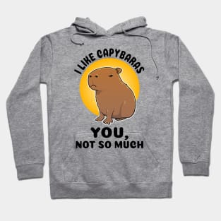 I like capybaras You not so much Capybara Hoodie